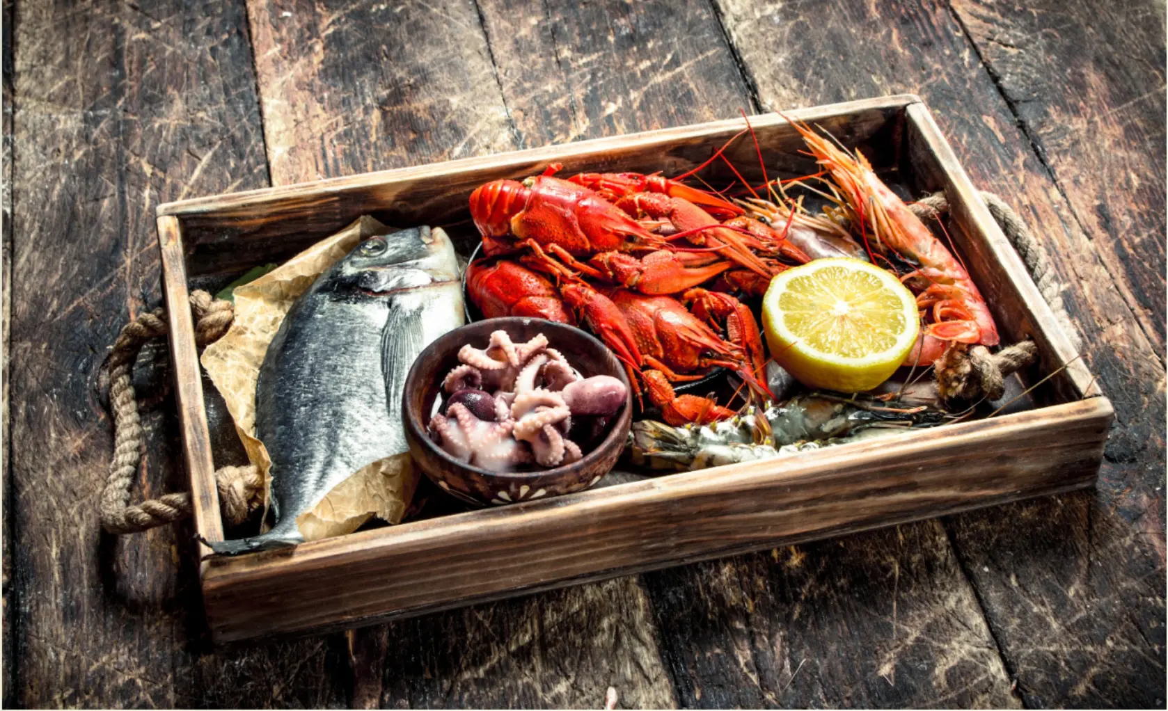 lobster